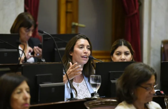 DESDE UNIÓN POR LA PATRIA ADVIERTEN A MILEI: «VETAR EL AUMENTO A LOS JUBILADOS LE VA A GENERAR UN COSTO MUY GRANDE»