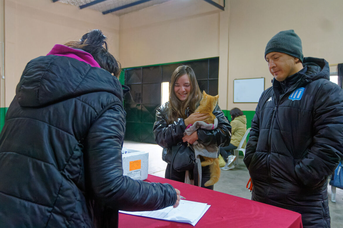 BERAZATEGUI: SERVICIOS GRATUITOS DE SALUD ANIMAL EN LOS BARRIOS