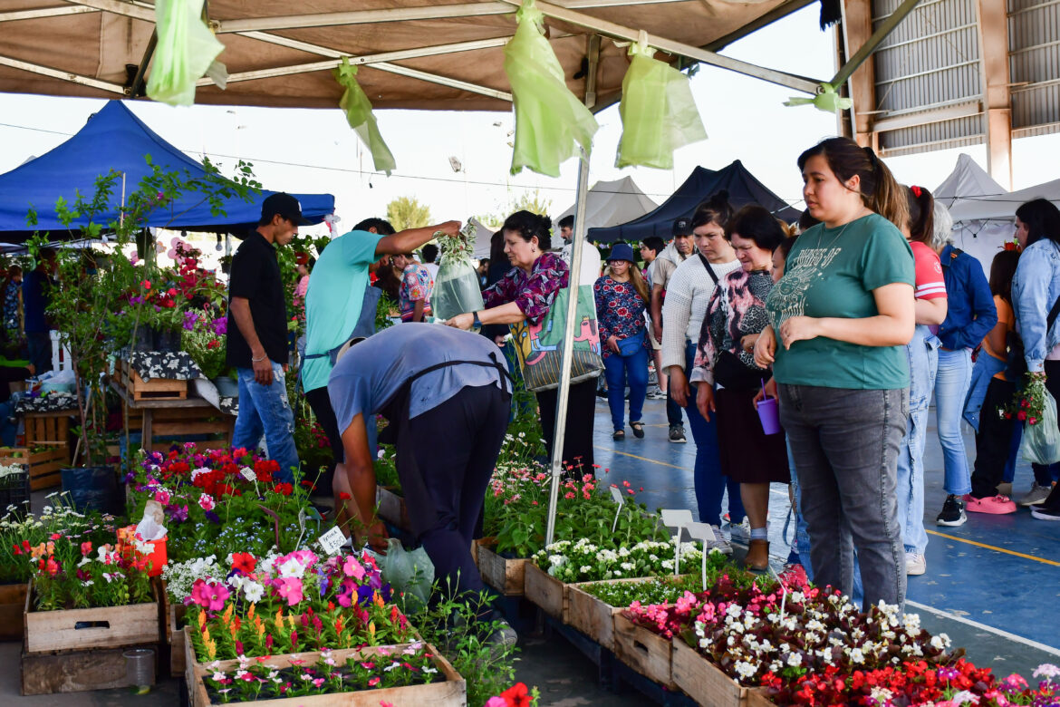 FIESTA DE LA FLOR 2024 EN VARELA: PRODUCCIÓN, DIVERSIDAD E IDENTIDAD