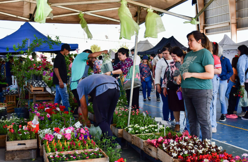 FIESTA DE LA FLOR 2024 EN VARELA: PRODUCCIÓN, DIVERSIDAD E IDENTIDAD