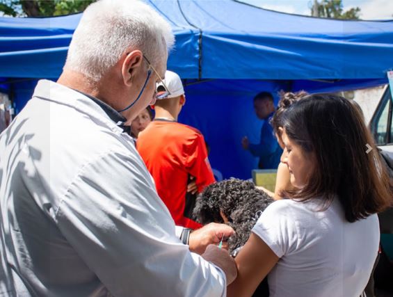 VARELA: CUIDAR LA SALUD DE LAS MASCOTAS