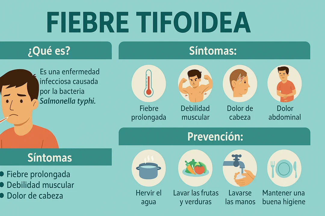 BROTE DE FIEBRE TIFOIDEA EN EL AMBA: SEIS PERSONAS INTERNADAS, DOS EN ESTADO GRAVE