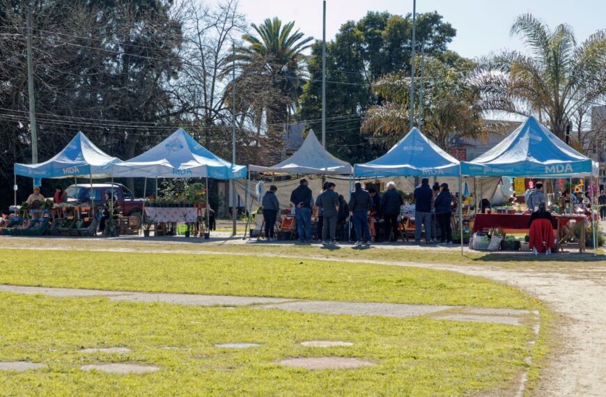 LAS MEJORES FRUTAS Y VERDURAS ESTÁN EN EL PATO