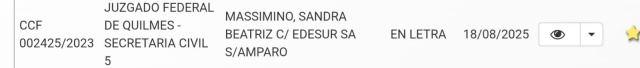 LA ABOGADA SANDRA MASSIMINO DENUNCIÓ A EDESUR