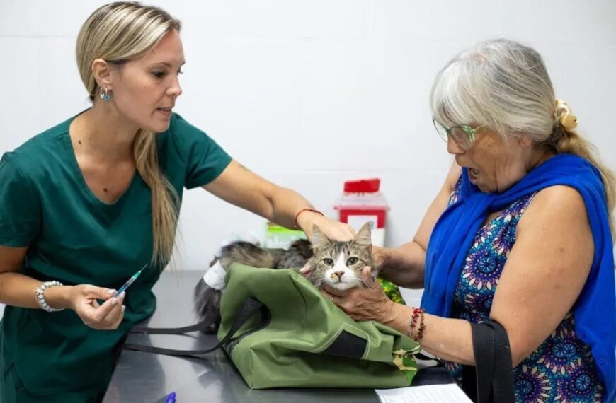 VETERINARIA MUNICIPAL: CASTRACIONES, VACUNACIÓN ANTIRRÁBICA Y DISTINTAS CIRUGÍAS Y ATENCIONES SIN COSTO PARA LAS Y LOS QUILMEÑOS