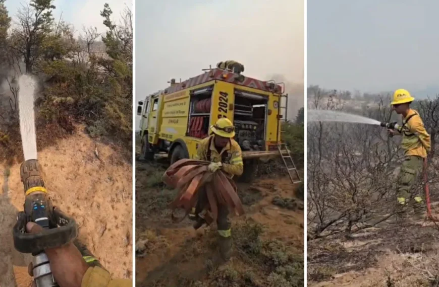 INCENDIOS EN LA PATAGONIA: BUENOS AIRES ENVIÓ BRIGADISTAS Y EQUIPAMIENTO PESADO