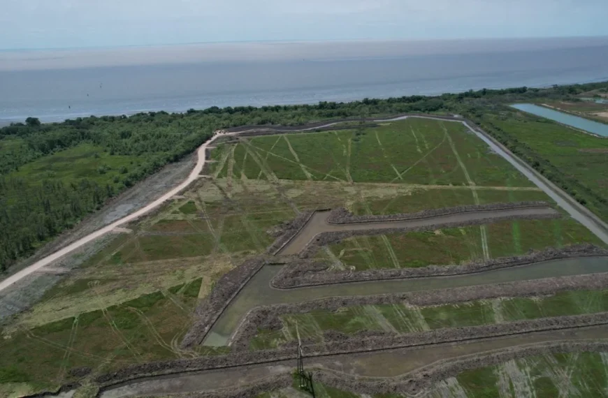 BERAZATEGUI: POLÉMICA POR UN «DISTRITO ECO-URBANO» Y UNA DEMANDA EN LA SUPREMA CORTE