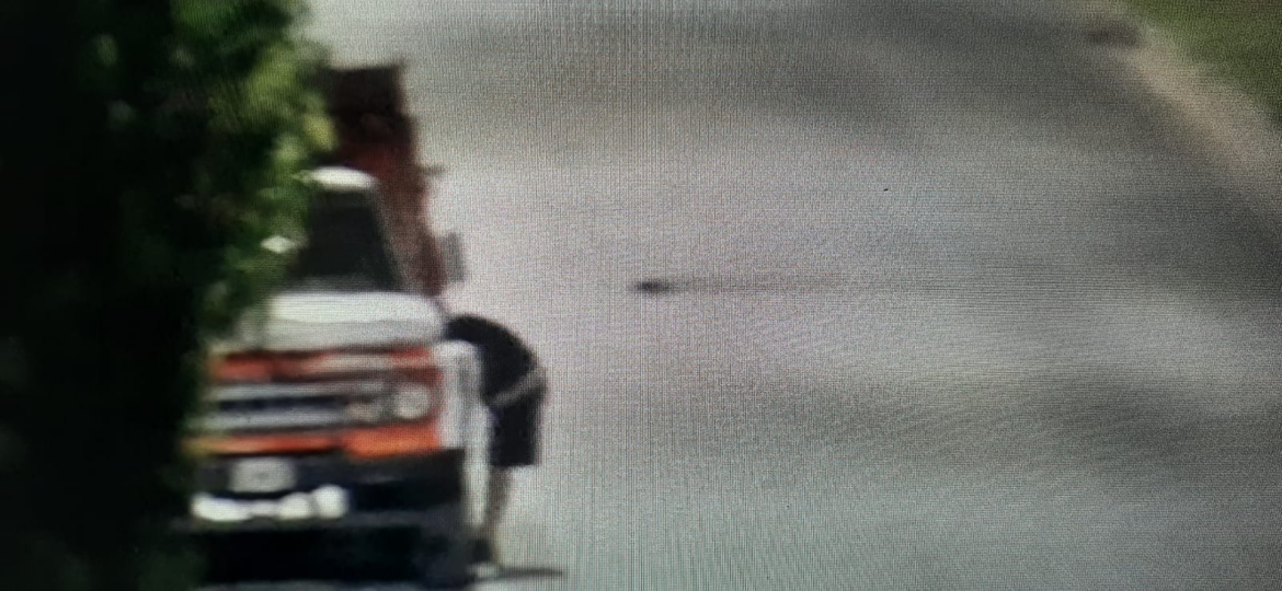 CAPTURARON A UN PRÓFUGO MIENTRAS ROBABA UN VEHÍCULO