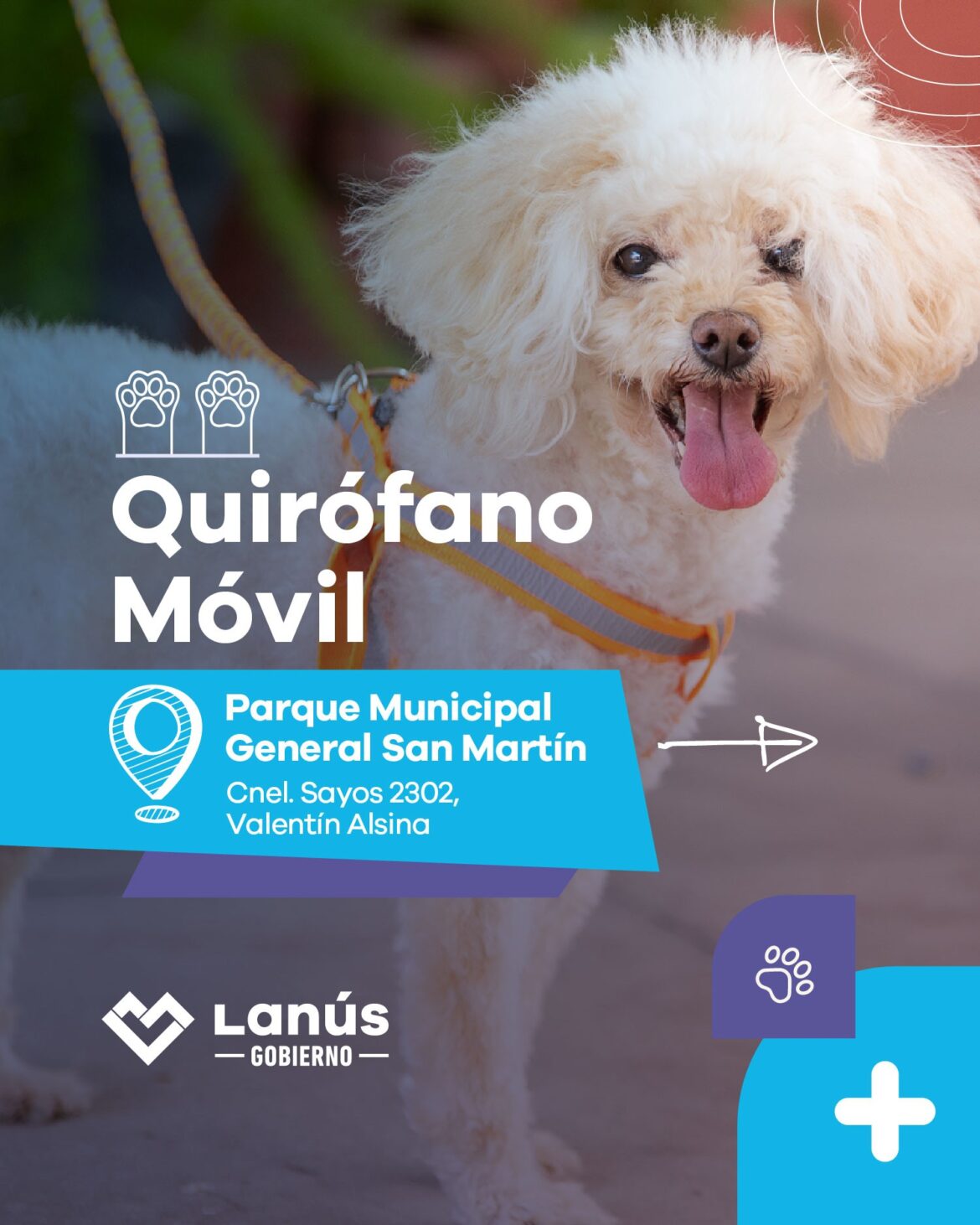 LANÚS: SIGUE EL QUIRÓFANO MÓVIL EN EL PARQUE MUNICIPAL GENERAL SAN MARTÍN