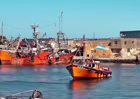 ENTREGAN MERCADERIA A ESTIBADORES POR LA CRISIS EN EL PUERTO DE MAR DEL PLATA